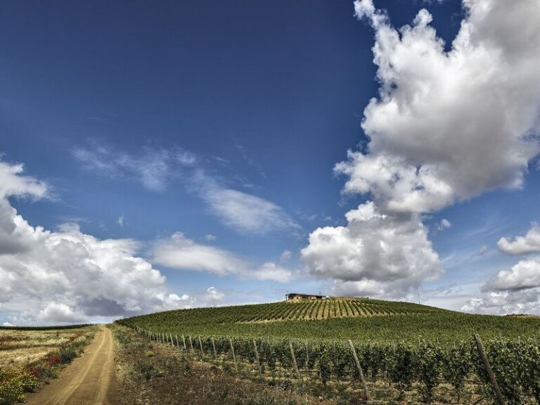 cantine-su-entu